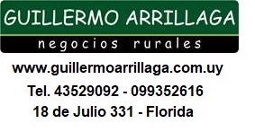 GUILLERMO ARRILLAGA LTDA.