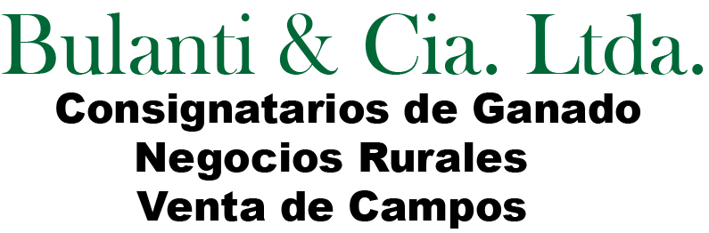 BULANTI & Cía. Ltda.