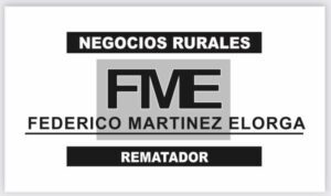 Federico Martinez Elorga