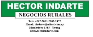 Héctor Indarte