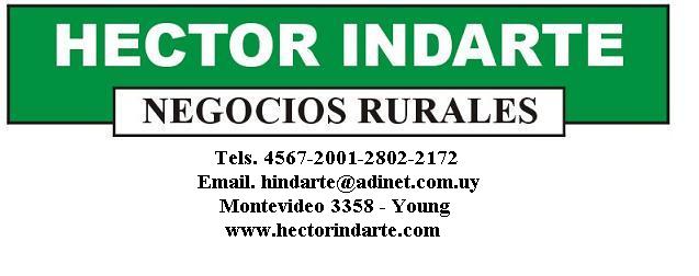 Héctor Indarte