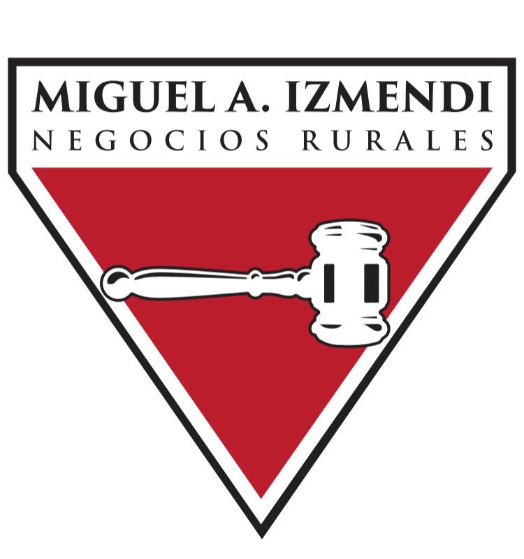 IZMENDI Ltda., Esc. Miguel Ángel