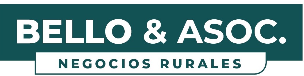 BELLO & ASOCIADOS SAS