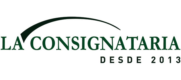 LA CONSIGNATARIA S.R.L.