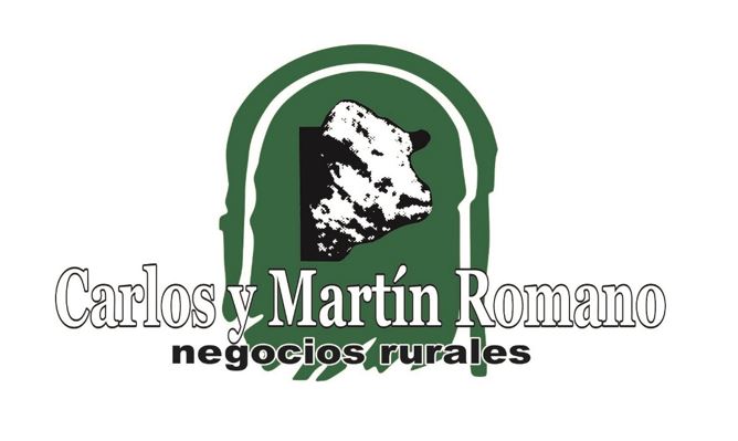 Carlos y Martin Romano