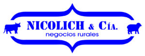 Nicolich Alejandro