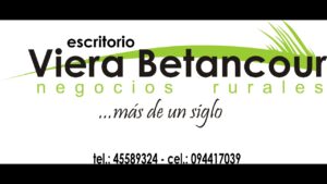 Pablo Viera