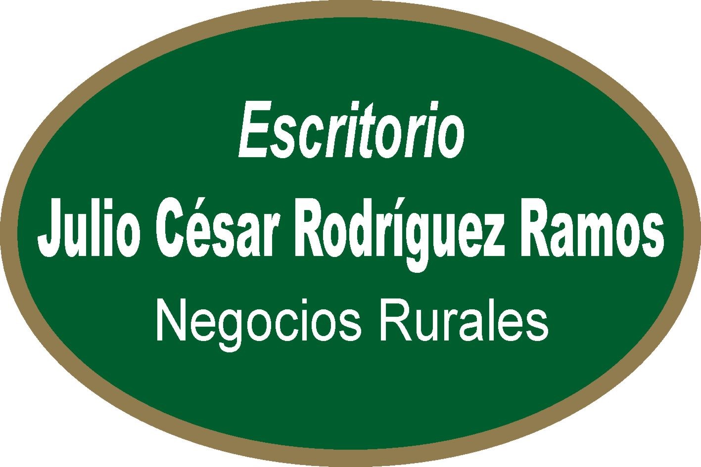 RODRIGUEZ RAMOS, Julio C.
