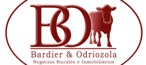 BARDIER Y ODRIOZOLA S.R.L.