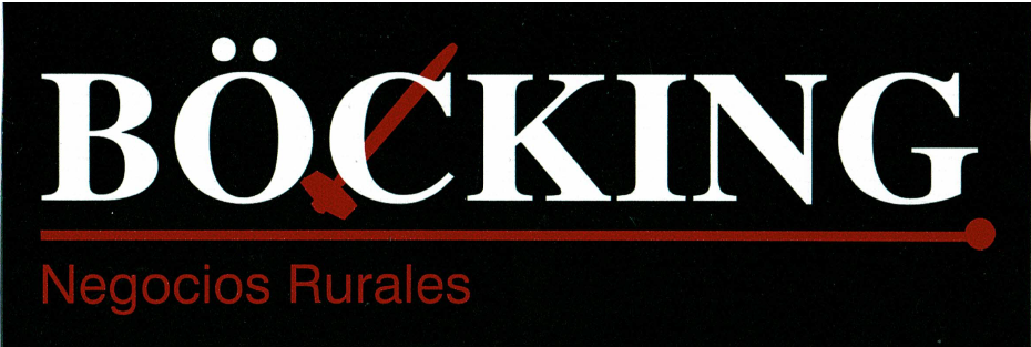 BOCKING S.R.L.