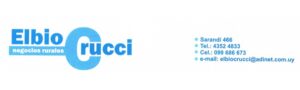 ELBIO CRUCCI