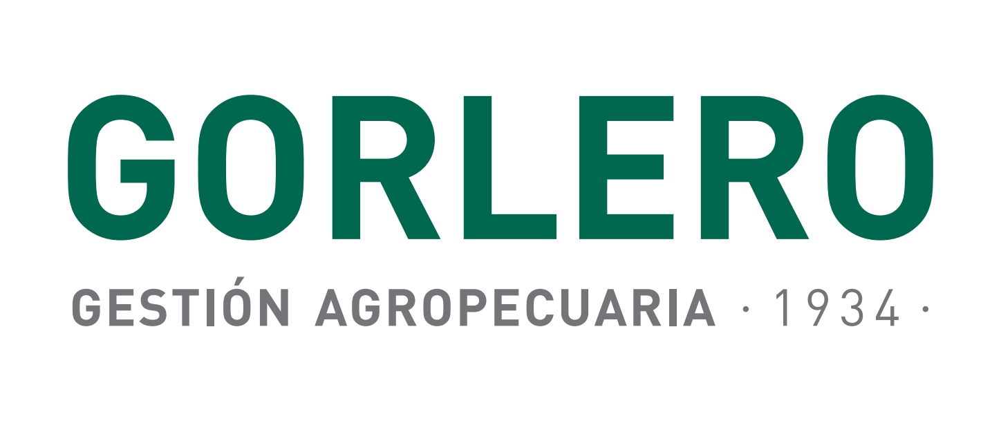 GORLERO y Cía..