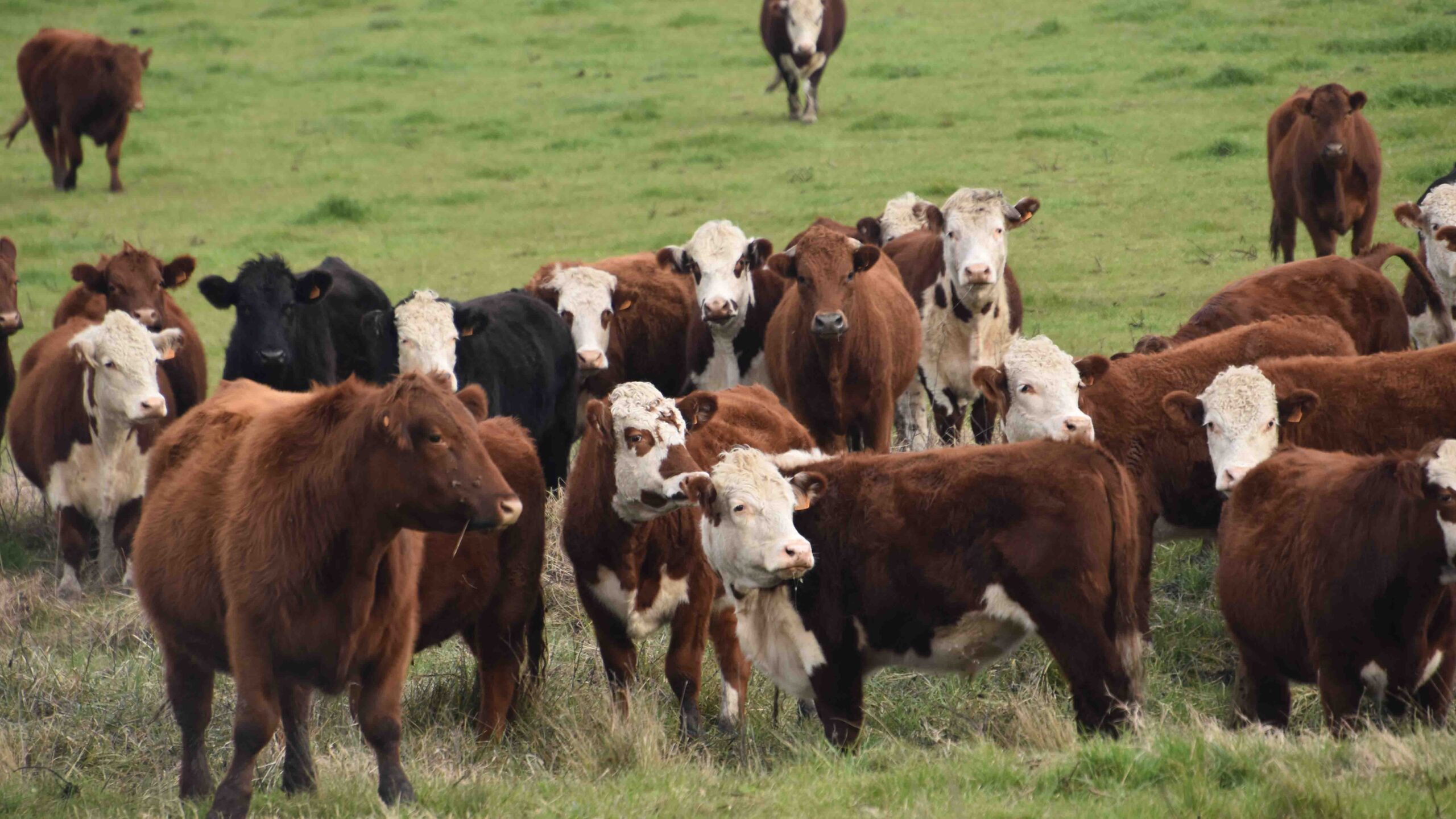 Aumento de actividad