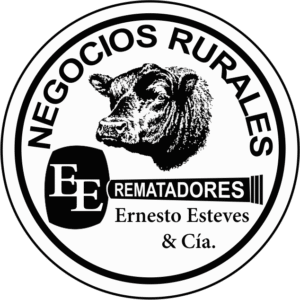ERNESTO ESTEVES Y CIA LTDA