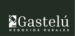 GASTELU Alvaro