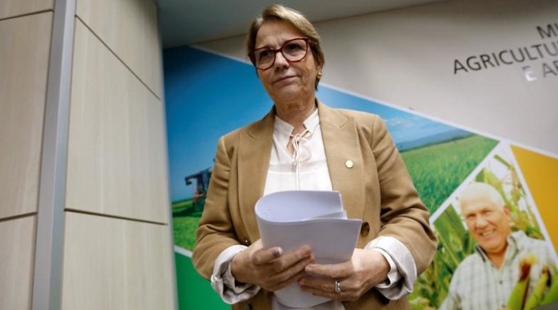 Gobierno de Brasil espera los resultados de la investigación del caso de vaca loca