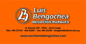 Luis Bengochea
