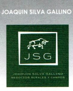 Joaquin Silva Gallino