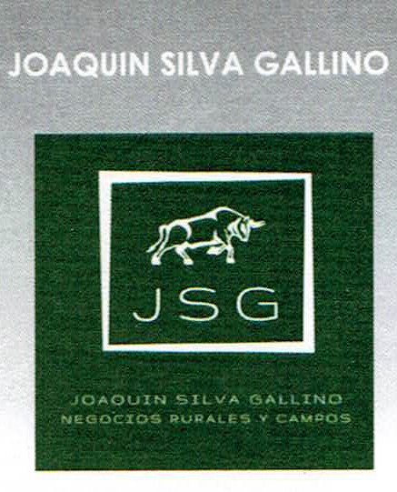 Joaquin Silva Gallino
