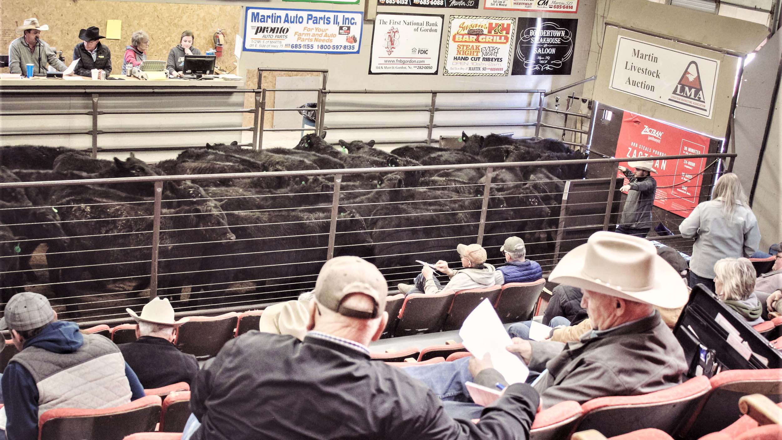 Demócratas y republicanos impulsan leyes para regular el mercado del ganado gordo en EEUU