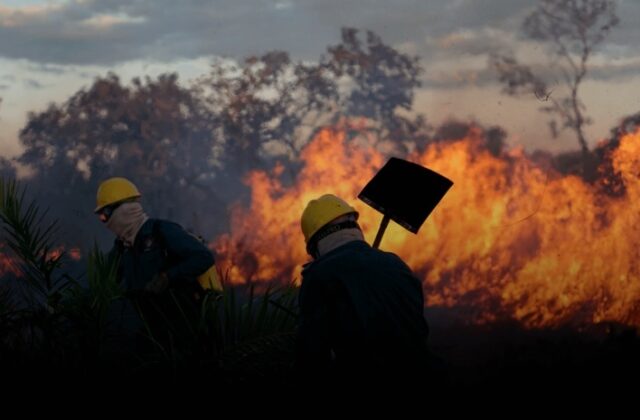 Mato Grosso en llamas: focos de calor crecen más de 300% en un mes