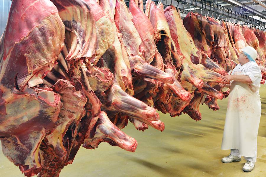 Paraguay avanza en las negociaciones para exportar carne a Canadá