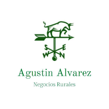 ALVAREZ Agustín Negocios Rurales