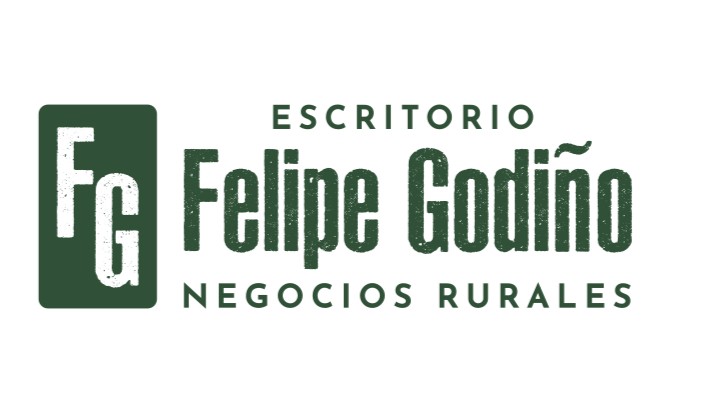 Felipe Godiño Rivas