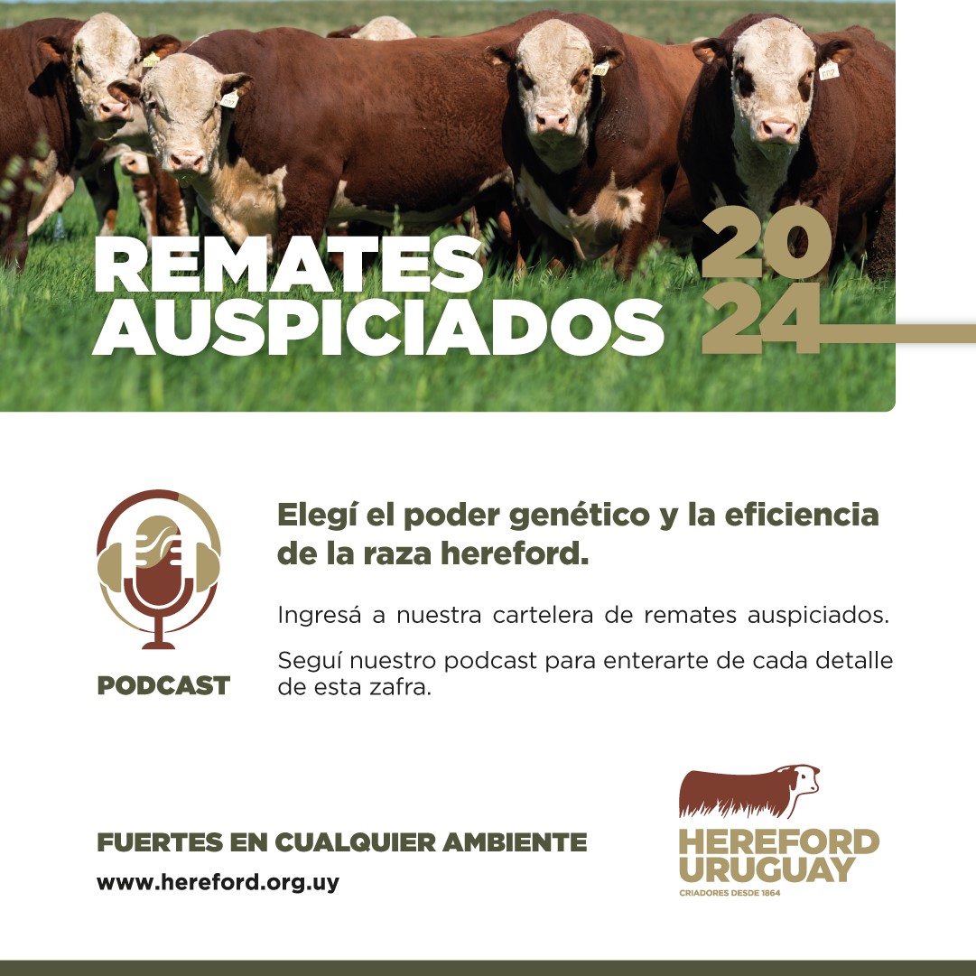 Remates Hereford Uruguay