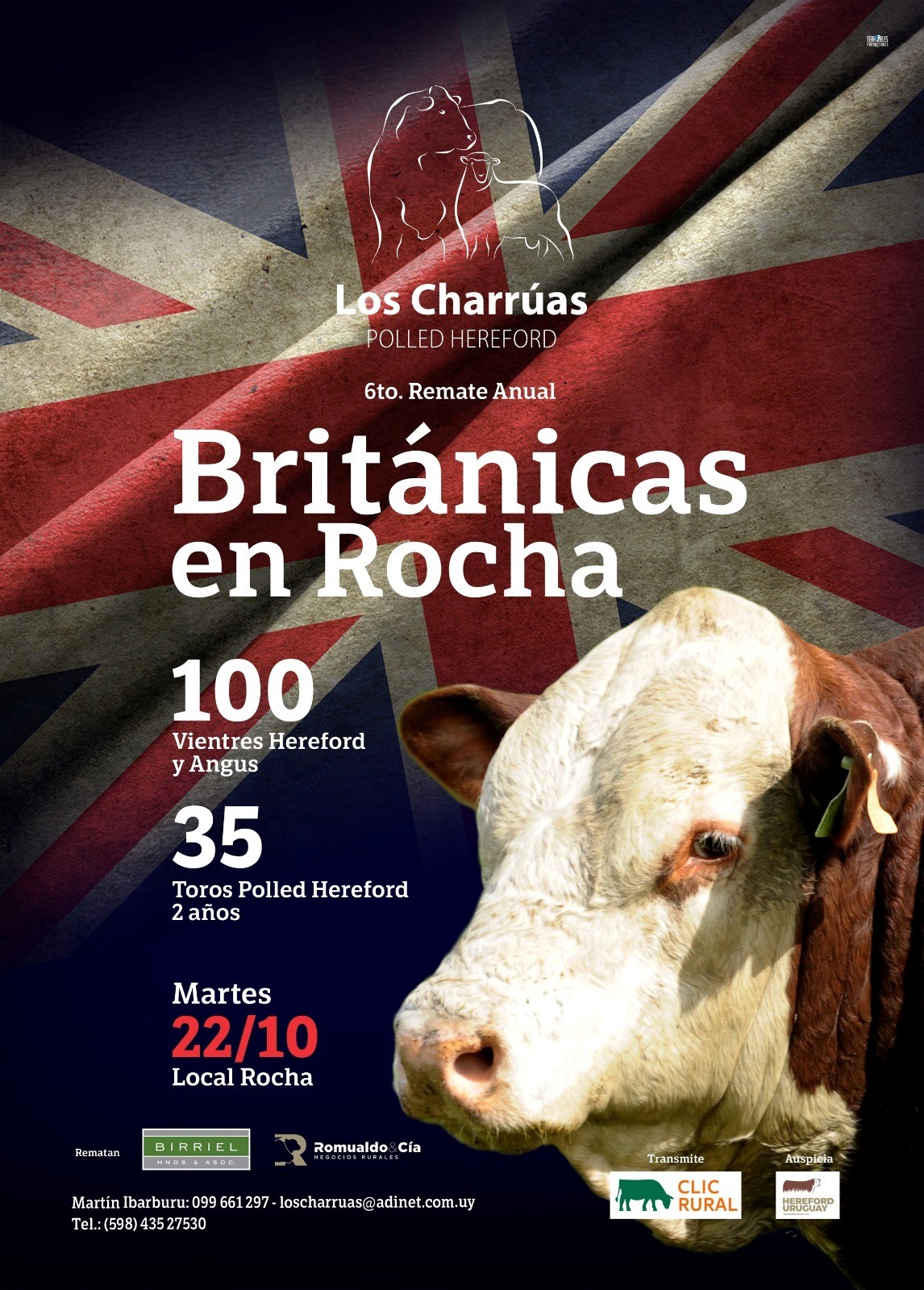 BRITÁNICAS EN ROCHA