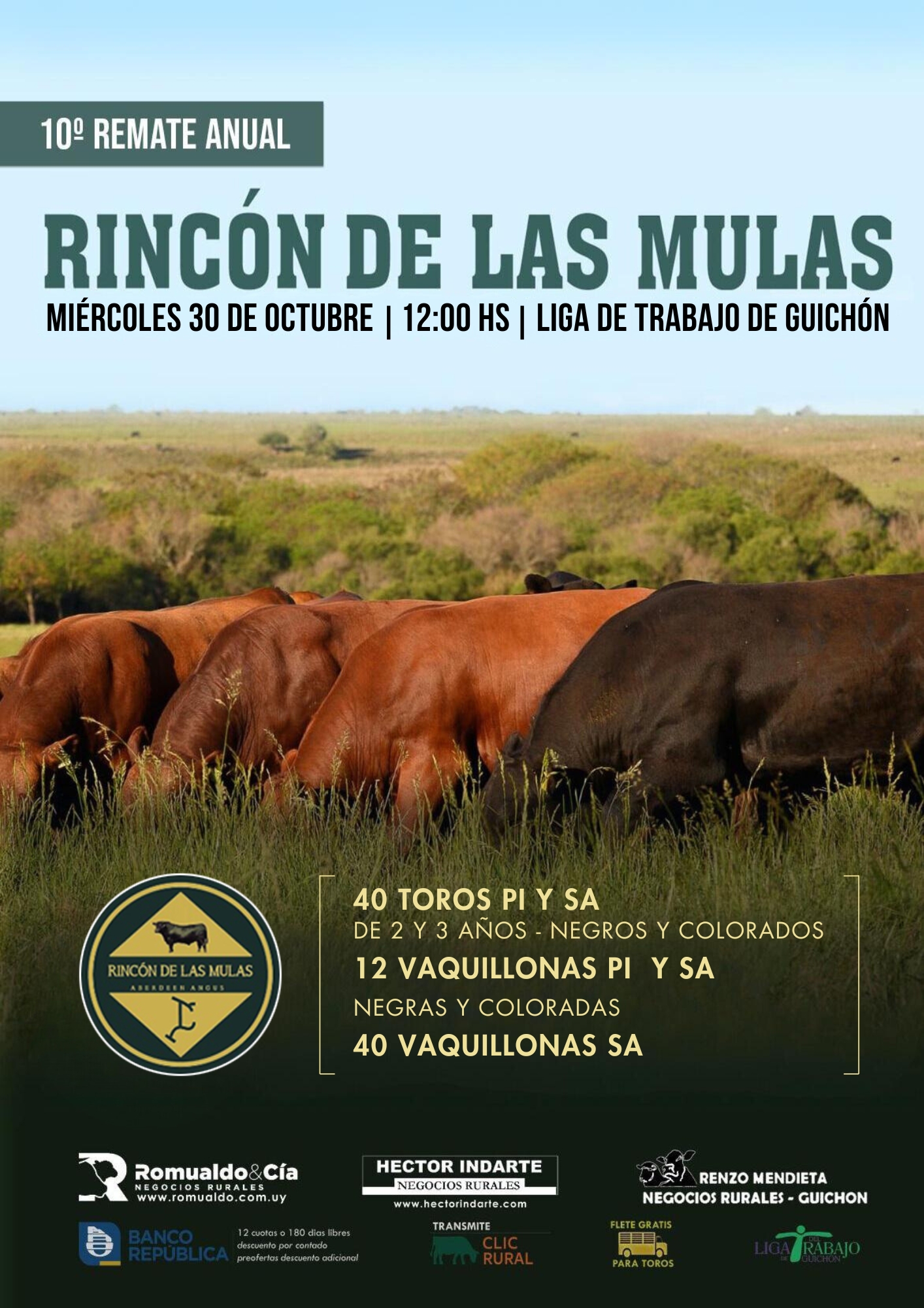 10º RINCÓN DE LAS MULAS