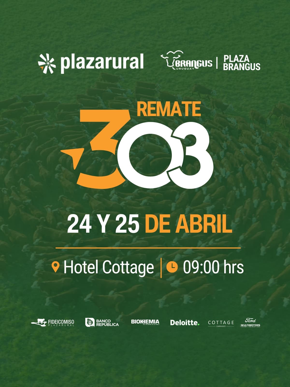 303 Remate Plaza Rural