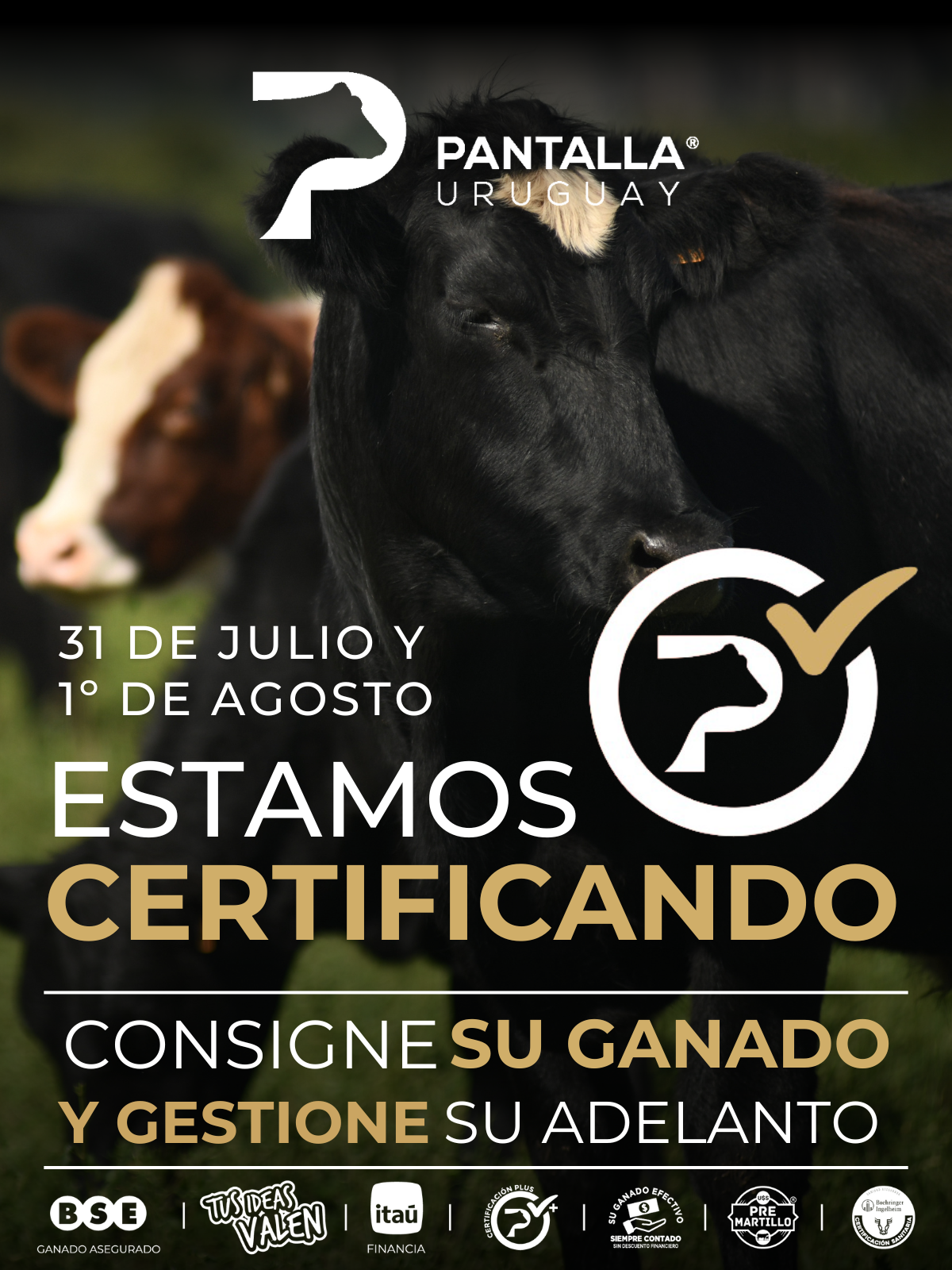 Pantalla Uruguay