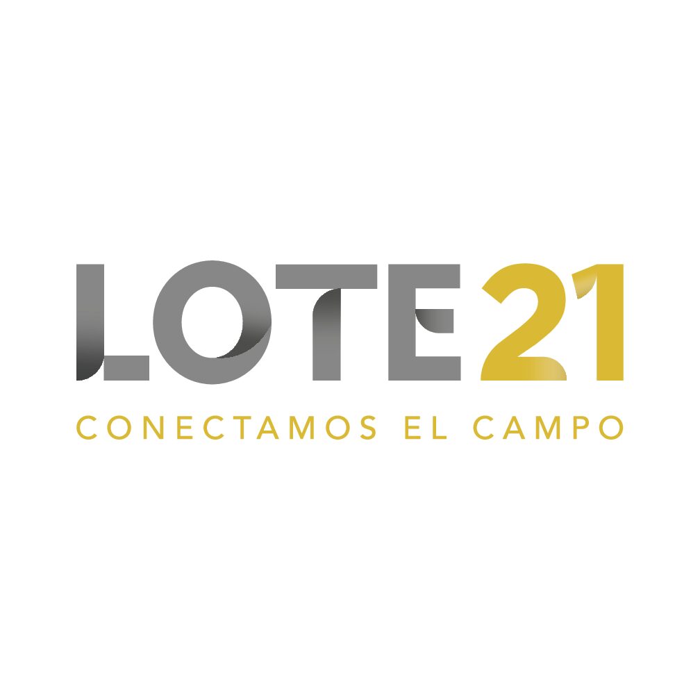 LOTE 21