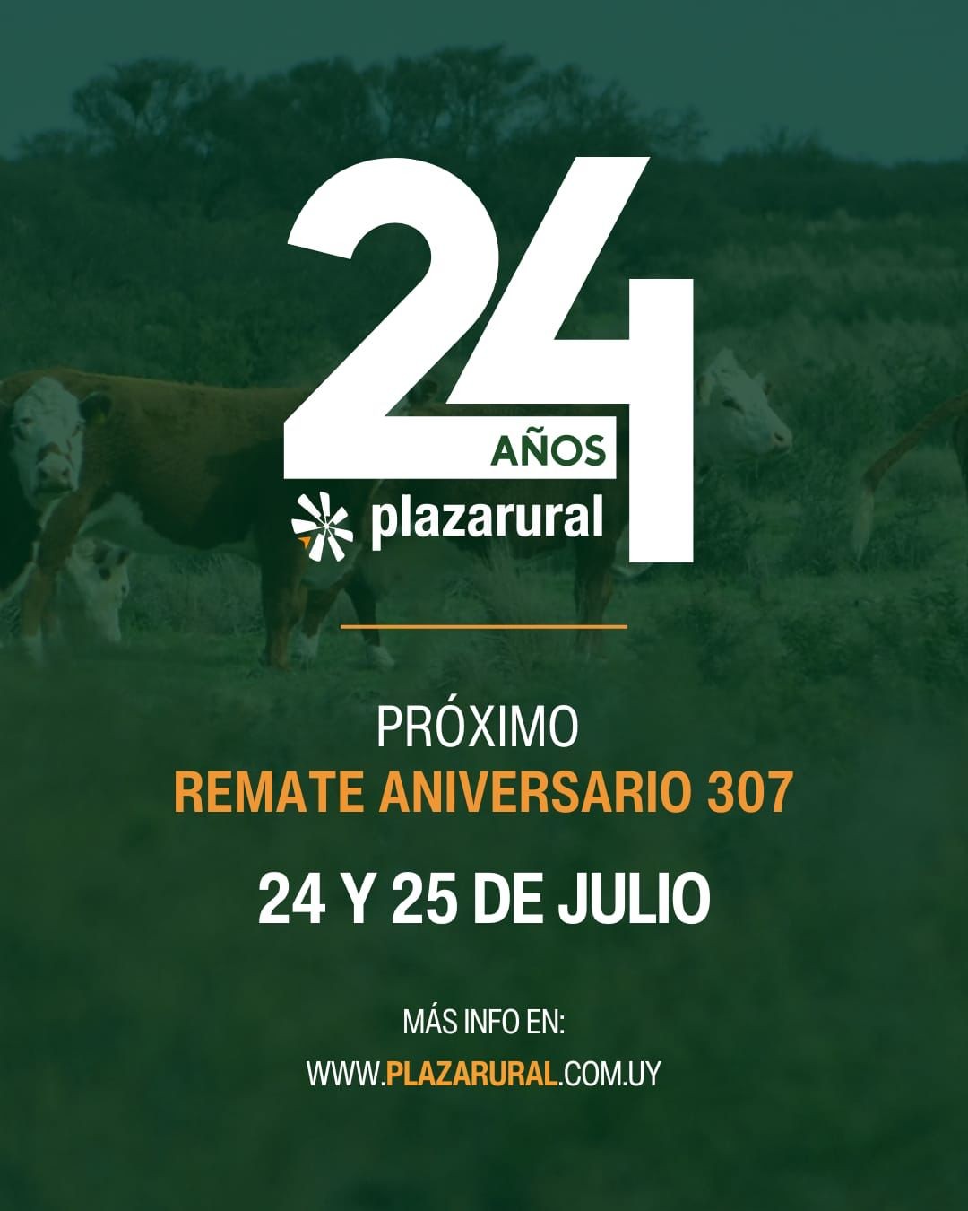 Plaza Rural