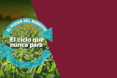 Publicidad Superior ACG