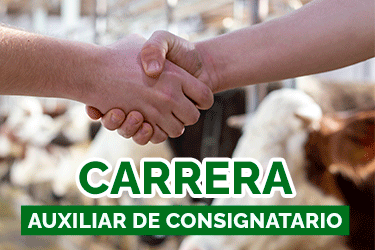 Publicidad Inferior ACG