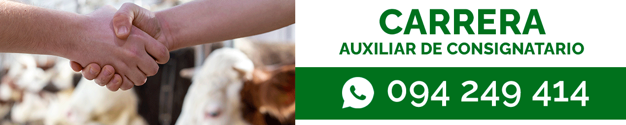 Publicidad Inferior ACG