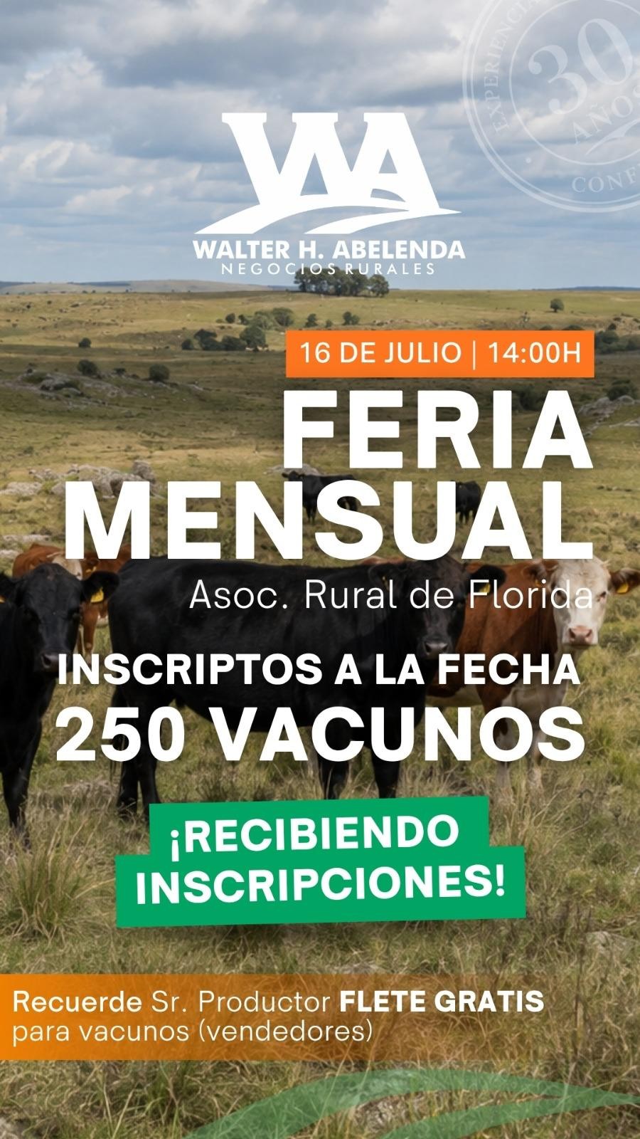 Feria Mensual