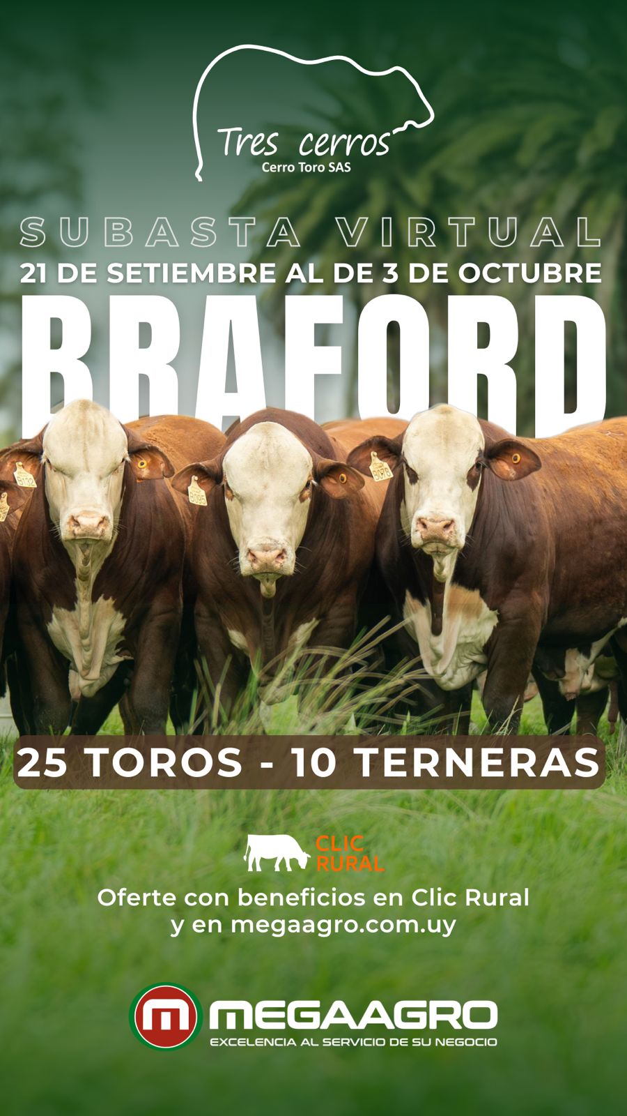 Subasta Virtual BRAFORD