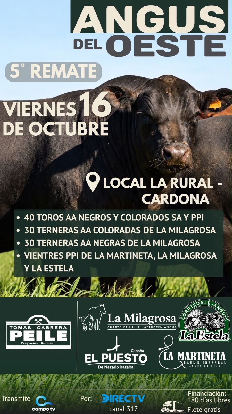 ANGUS DEL OESTE