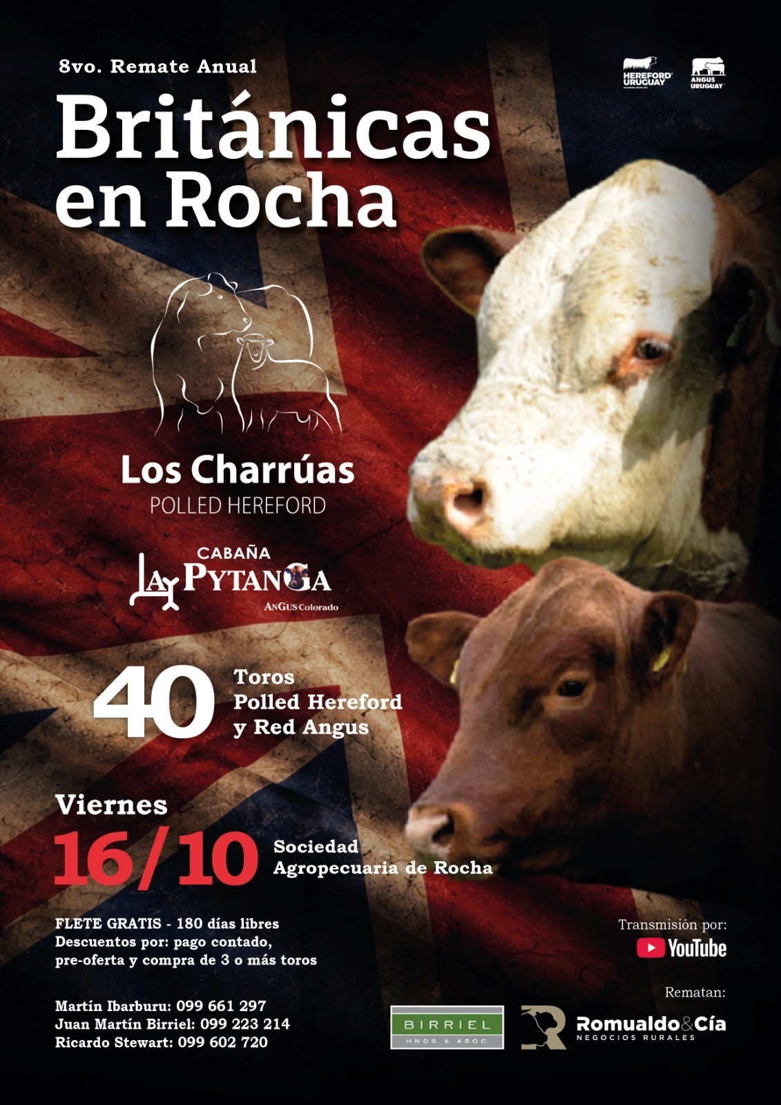 Británicas de Rocha