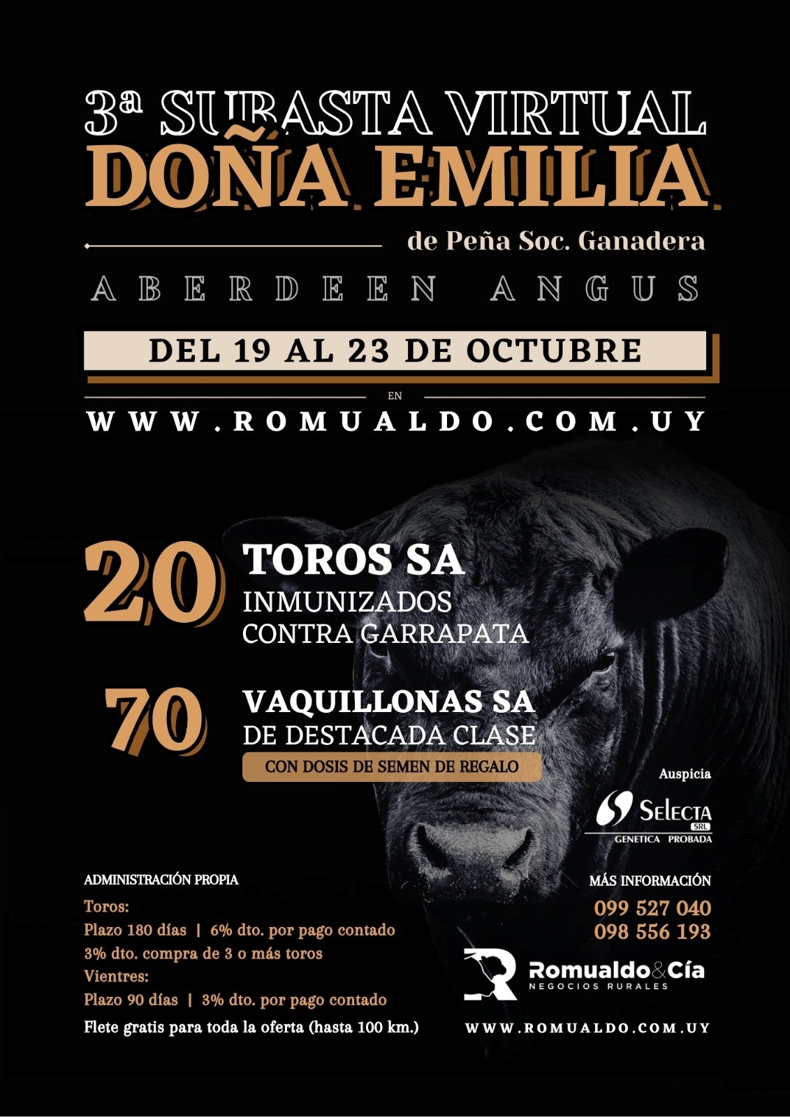 Subasta Virtual DOÑA EMILIA