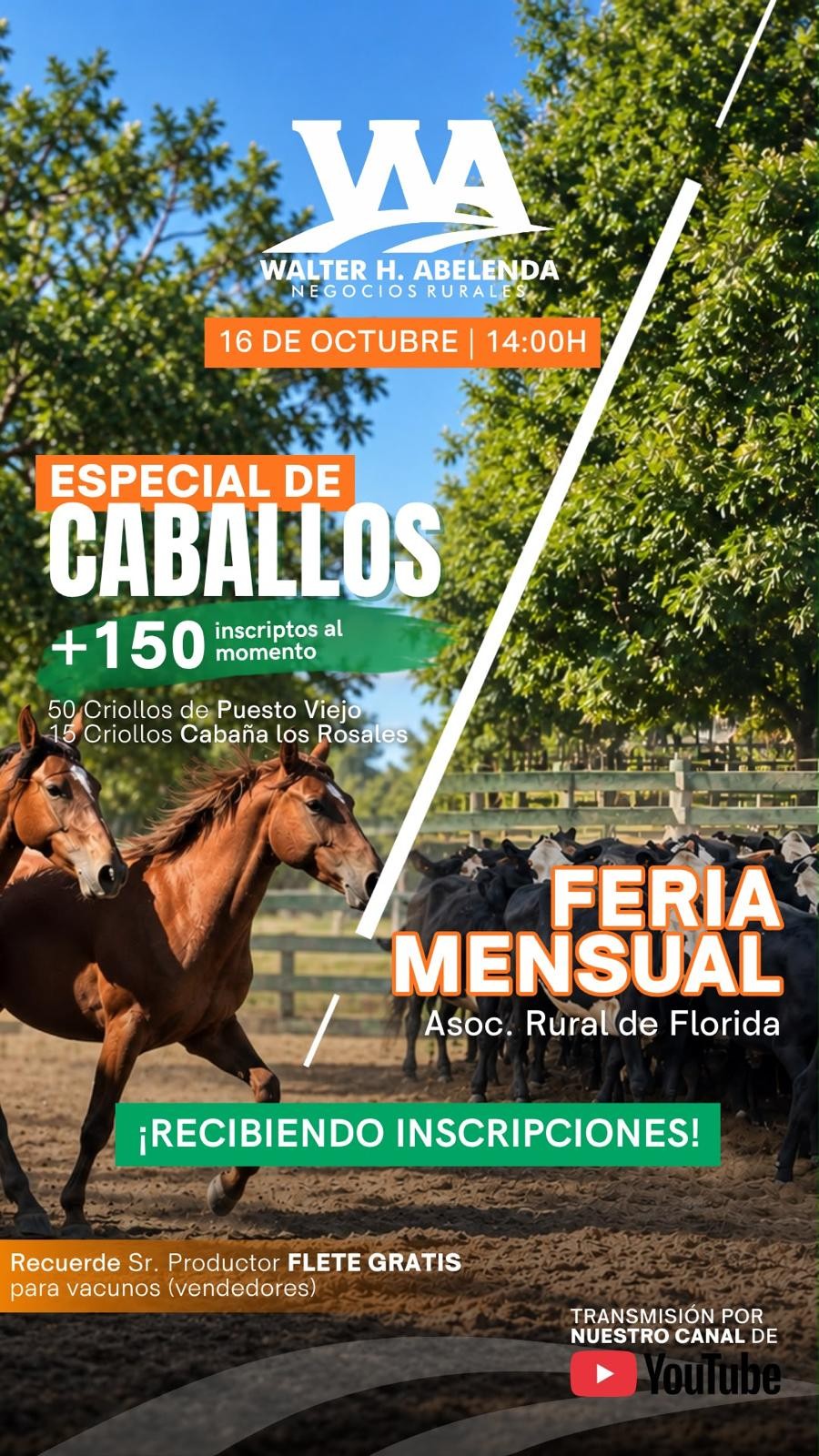 Feria Mensual Especial Caballos