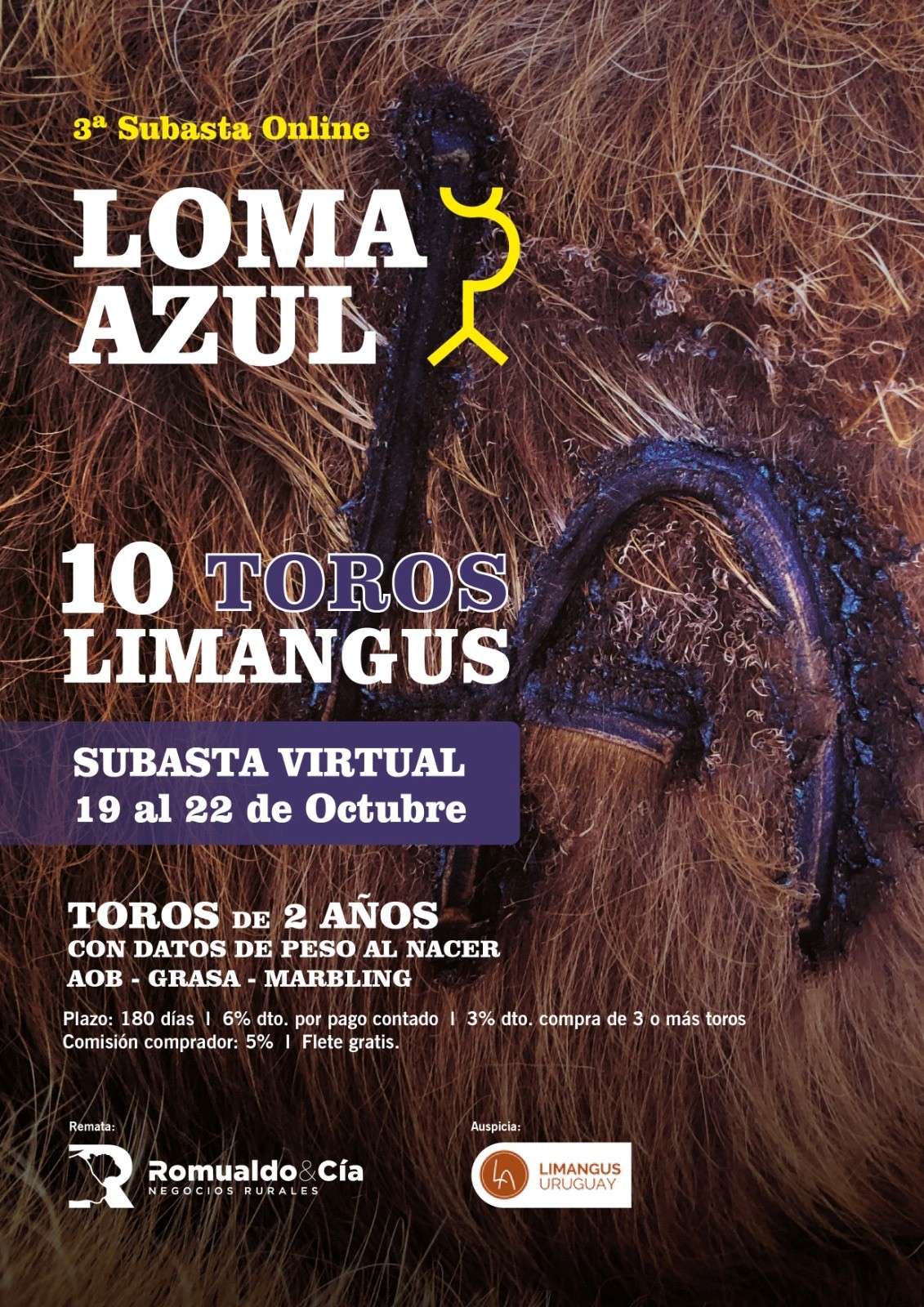 LOMA AZUL