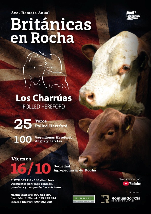 Británicas de Rocha